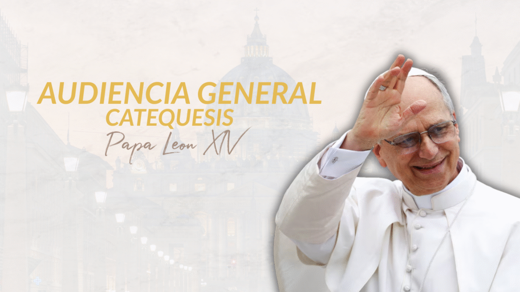 Catequesis del Papa León